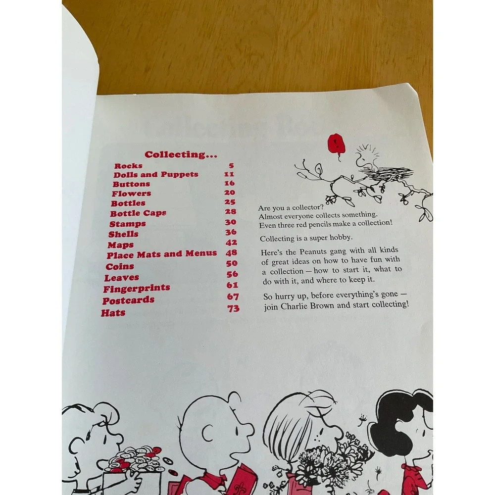 Peanuts vintage charlie